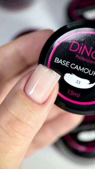 Base Camouflage | 33