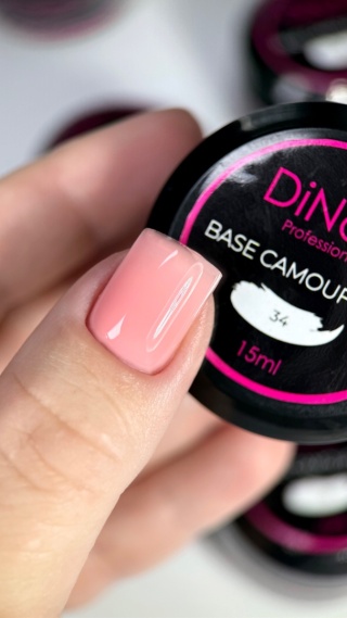 Base Camouflage | 34